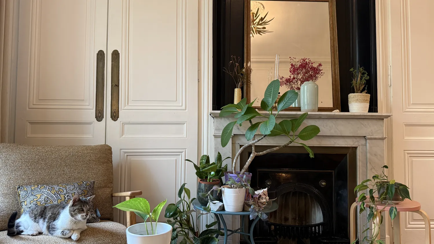 Ranger sa tête et sa maison : accompagnement home organiser à Lyon