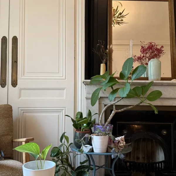 ranger-sa-te-te-et-sa-maison ranger-sa-te-te-et-sa-maison