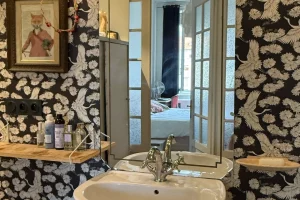 salle-de-bain-optimisation-rangement-lyon salle-de-bain-optimisation-rangement-lyon