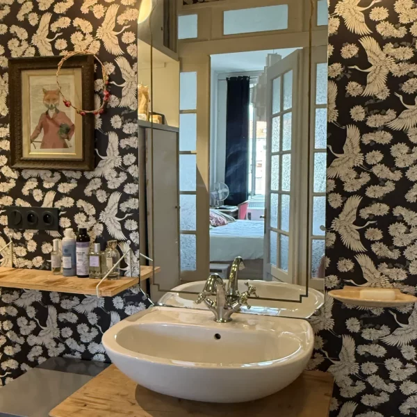 salle-de-bain-optimisation-rangement-lyon salle-de-bain-optimisation-rangement-lyon